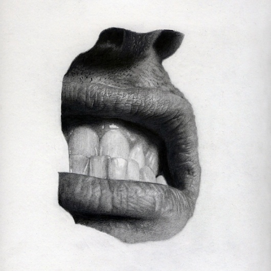 Drawing on the Behance Network #anatomy #drawing #mouth