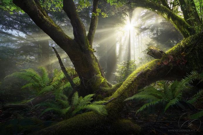 Beautiful and Extraordinary Landscape Photography by Nico Rinaldi