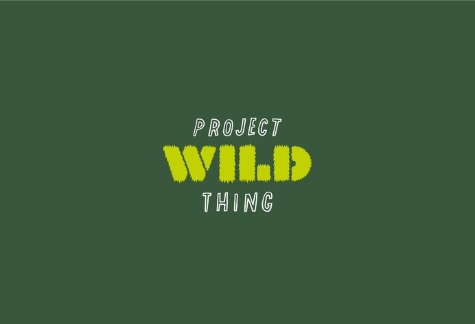 Project Wild Thing – Fieldwork #mark #design #graphic #type #word #logo #typography
