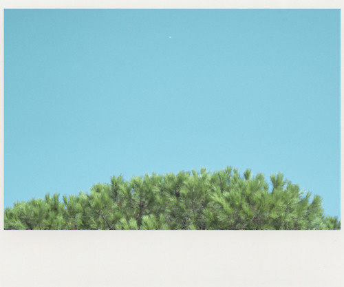 Jef Claes / heat #blue #heat #claes #jef