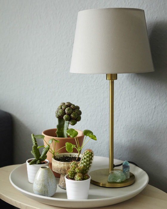 Home furnishing with cactus plants and RODD brass colour table lamp base @ Igor's on www.happyinteriorblog.com