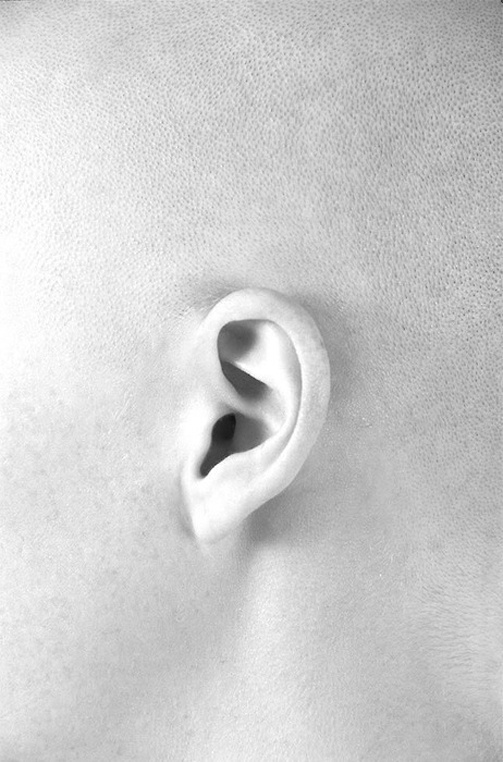 Blog - www.tonyspackman.com #white #head #anatomy #black #ear #photography #sound #and