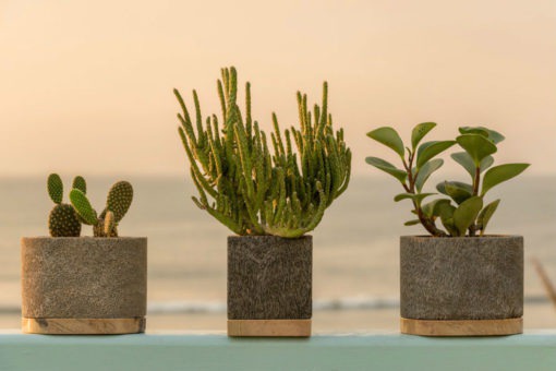 Ocean Planters These Ocean Planters are eco-friendly and sustainable pots for plants. They are made from natural calcite rock that is found on the ocean floor in Northern Perú; and are carved by hand into these functional planters. The pores of the rock acts as natural drainage to maintain only the necessary humidity.