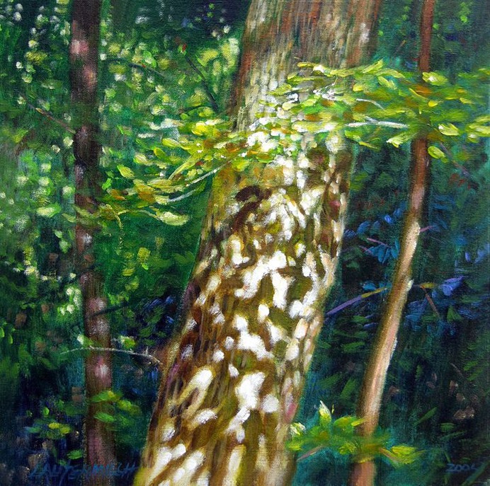 Sun and Shadow Patterns 119-2005 - Paintings by John Lautermilch