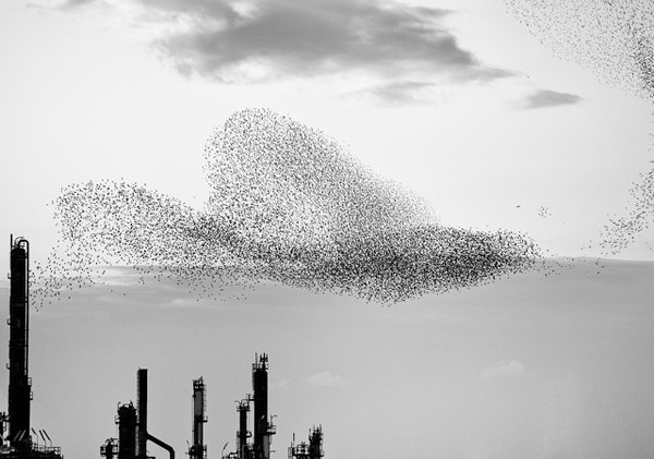 Photography by Massimo Cristaldi #inspration #photography #art