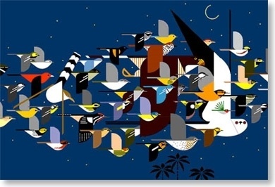 clementine studio: Charley Harper #charley #birds #illustration #harper