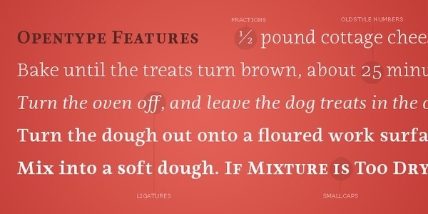 Ninfa Serif Webfont #dootype #ninfa #eduilson #serif #brazilian #wessler #coan
