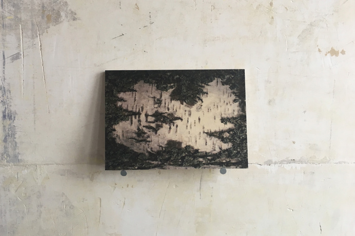 #bindermartin.com #wood # art wood #photography