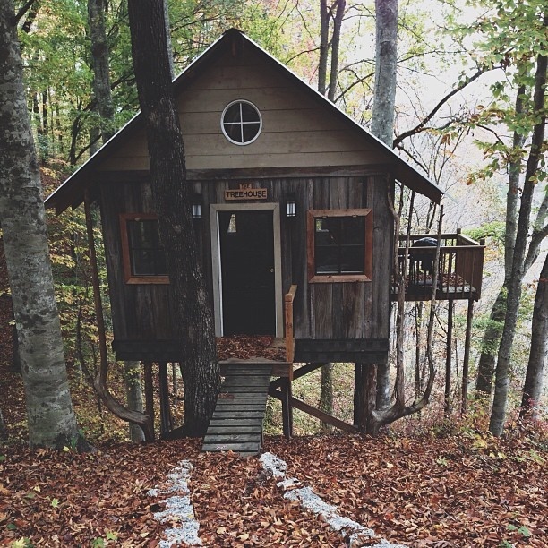 The cozy treehouse