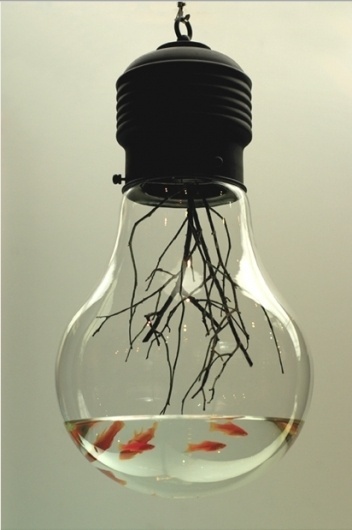 Buamai - Buamai Curation #lamp #fish #light #art