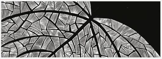 Paisaje Taquigráfico on the Behance Network #diego #ink #pinzon #book #illustration #nature #diary #editorial