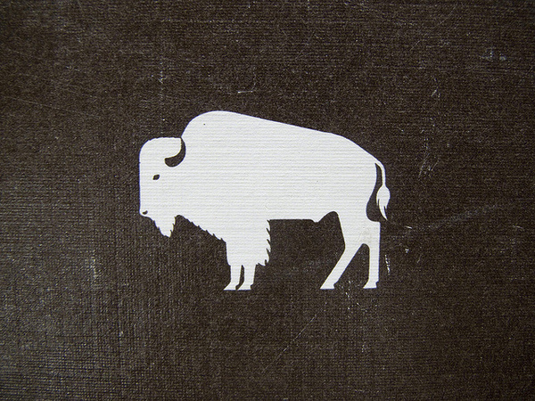 photo #buffalo
