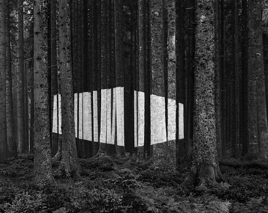 Buamai - Jan Imberi #photography #nature