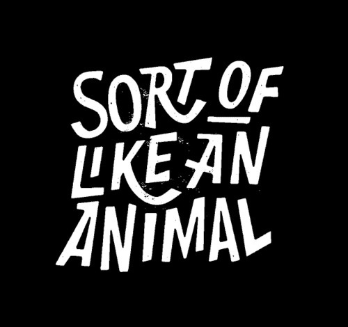 Typeverything.comSort of like an animal by Dan Cassaro. #type #design #creative #typography