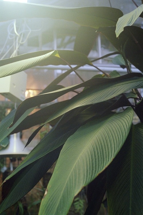 jesuisperdu: erikmowinckel: put up some new photos on my site! http://www.erikmowinckel.com/4 erik is one of my favorite photographers, c #photo