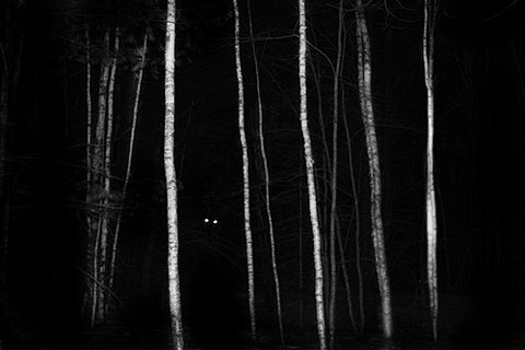 I Just Had Sex #photography #horror