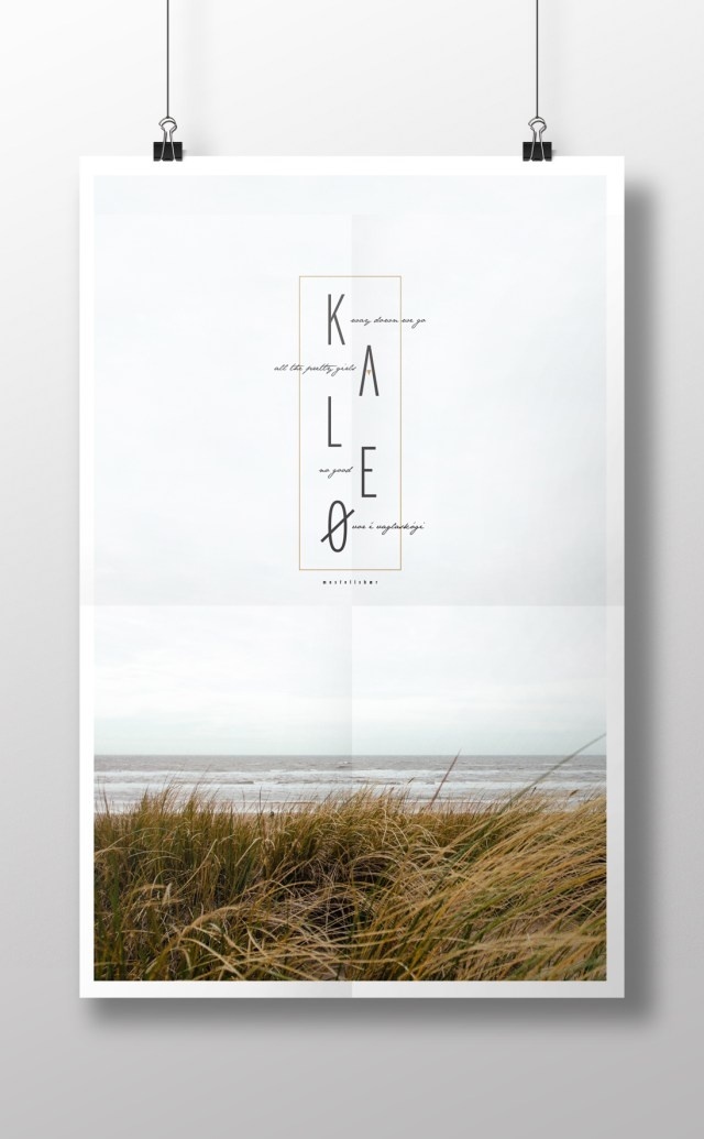 music poster, album art, fan art, music, vinyl, record design, graphic design, album, music art, poster design,