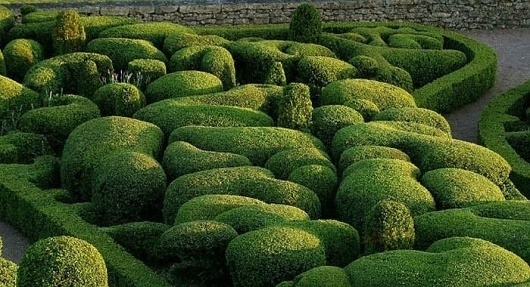 Growth. - Russian Carpet: Daily inspiration, trends, mood board. Architecture, art, design, fashion, photography.