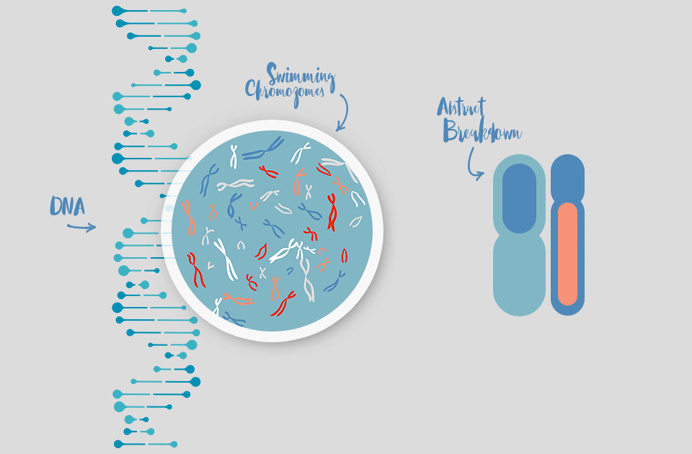#WeLoveNoise #AIGABoston #event #dxboston15 #brand #rationale #chromosomes