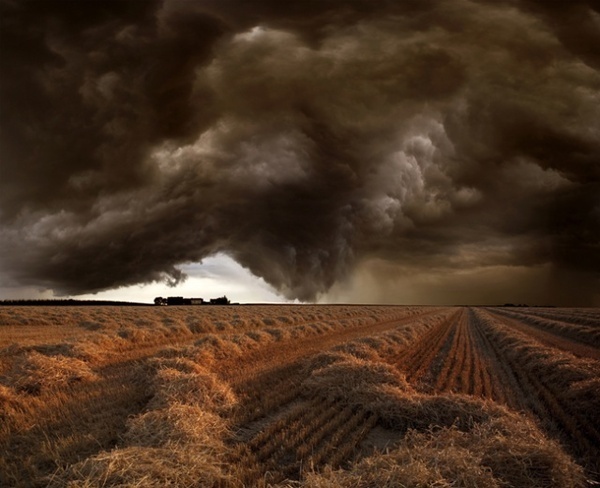 Harvest Time #nature #photography #landscape