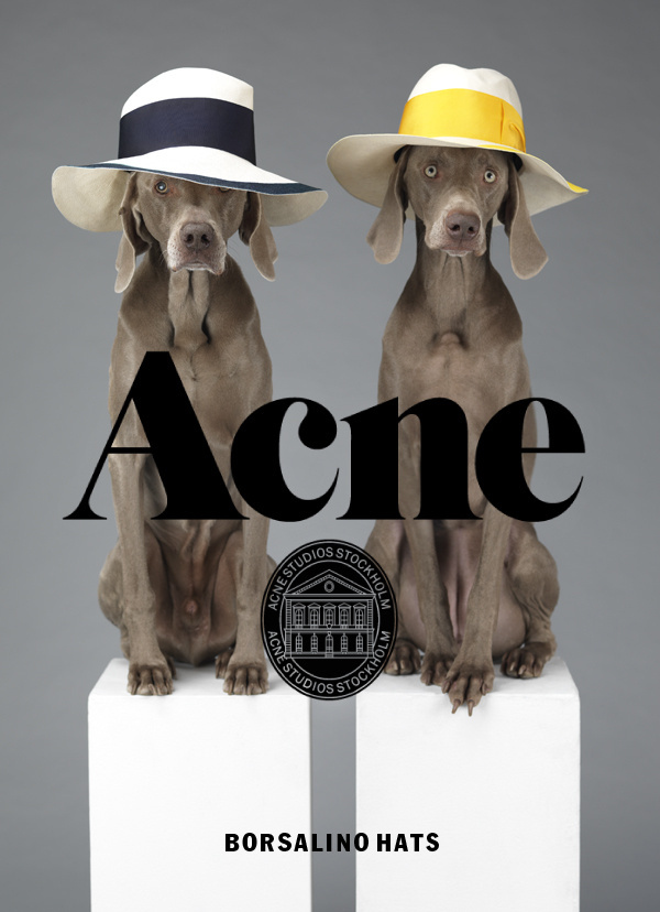44047129454 #branding #acne