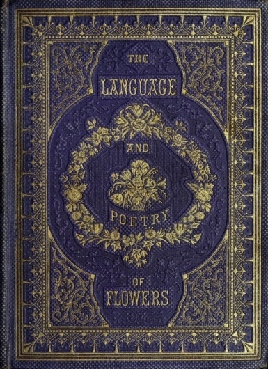 coqueterías #cover #book