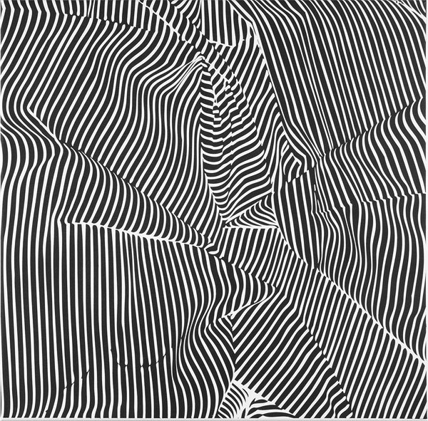 Pavel Hayek | PICDIT