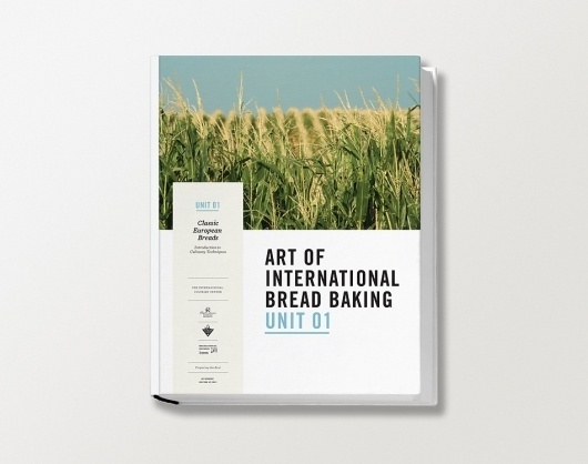 BookCover_02_1000.jpg 950×750 pixels #cover #book