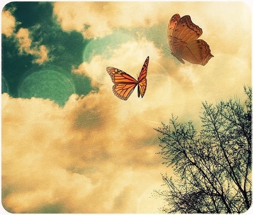 Love Supreme ~ / Mirella picture on VisualizeUs #clouds #sky #butterfly #colors #vintage