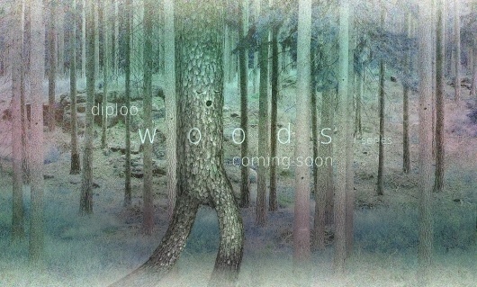 Diploo Studio #diploo #photo #woods #design #illustration