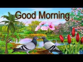 Good morning images