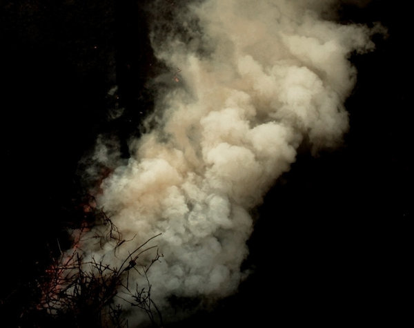 Smoke III by MD Arts on deviantART #smoke #branch #yellow #black #fire #grey