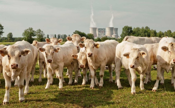 Andrea Pugiotto Captures The Life Near a Nuclear Power Plant in France