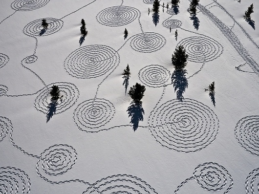 P1410314.jpg | Flickr - Photo Sharing! #trees #drawing #snow