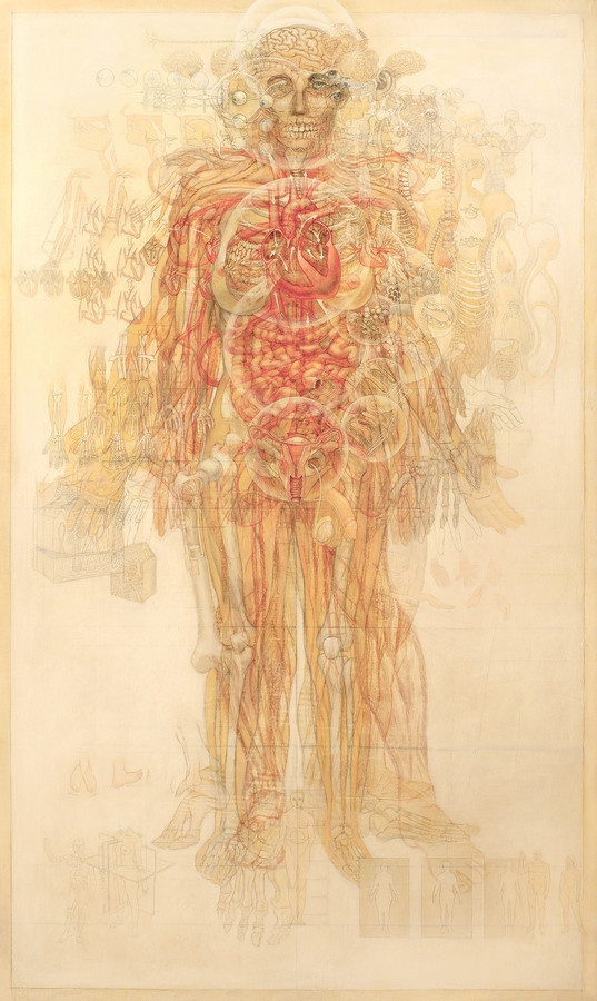 Casey Cripe Anatomy #human #illustration #body #anatomy