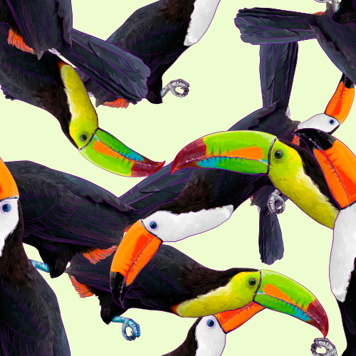 Toucan #tpucan #pattern #tropical
