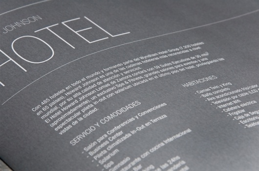 22DG Portfolio Howard Johnson Platinum #branding #real #architecture #identity #state #22dg #logo #brochure #platinum