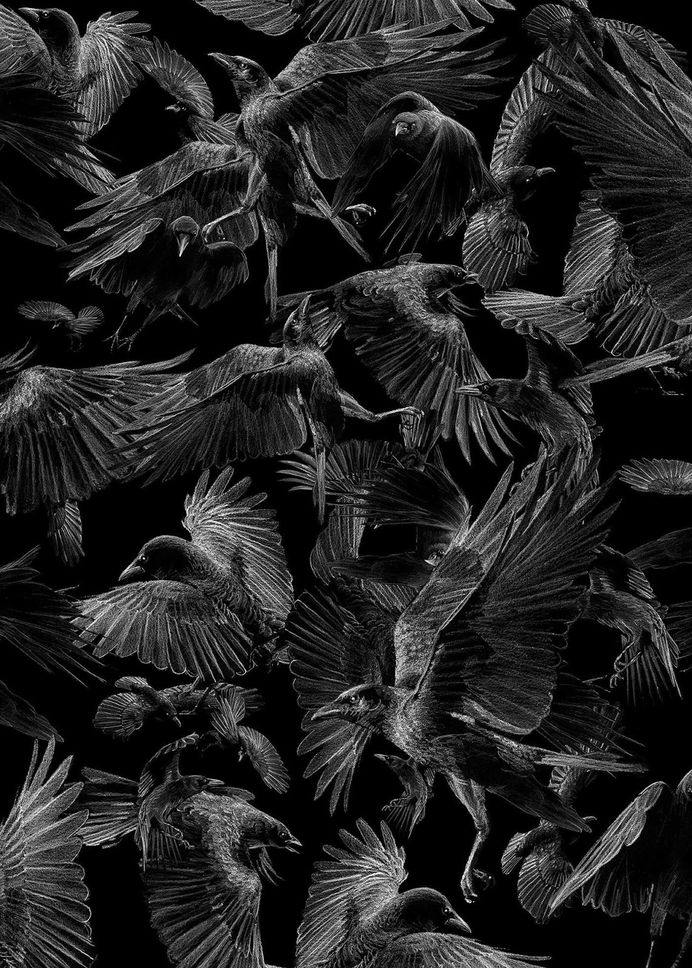Various Pencil Drawings by Børge Bredenbekk