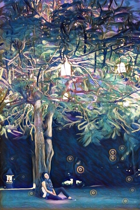 #magic#tree#editorial#beautiful