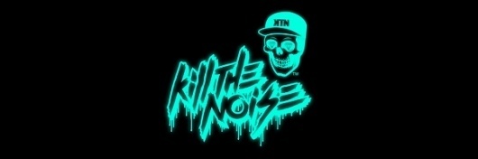 Kill The Noise on the Behance Network #skull #identity