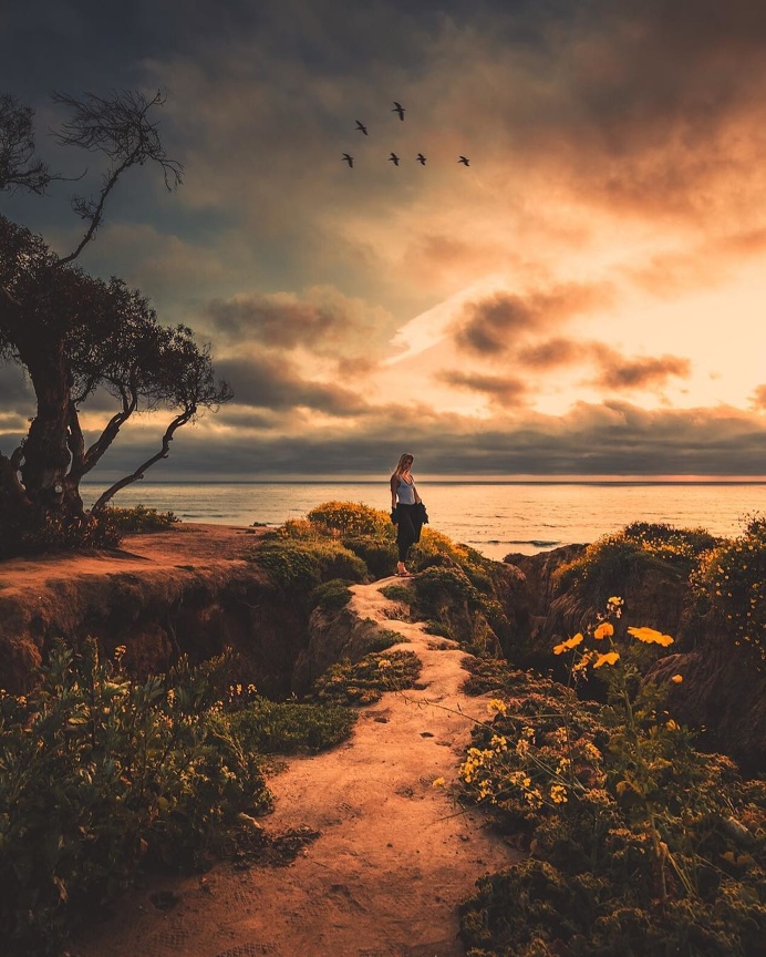 Dreamlike Landscapes of San Diego by Alec Basanec