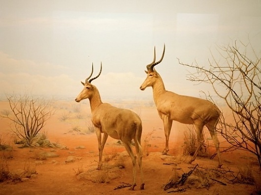 Design. Inspired. #diorama