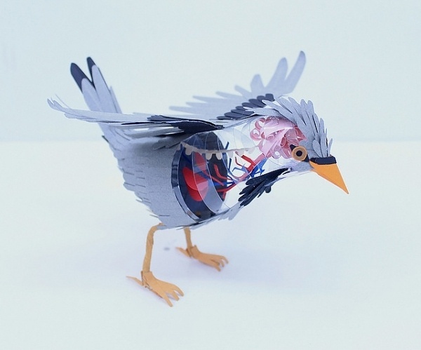 Paper Bird Anatomy | Colossal #paper #anatomy #bird