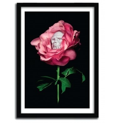 REBEL ROSE BY SHIFTY #print #art