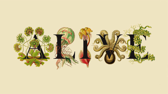 Alive RUN: disseny grÃ fic diseÃ±o grÃ¡fico graphic design graphisme #alive