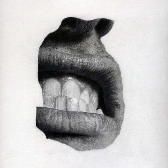 Lip - Jonny ShawGraphite pencil on paper, 22 x 22Â cm, 2010 #drawing #lip