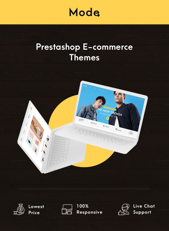 theme intro