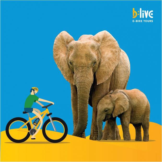 Jaipur is a 'home for elephants'. We've started on our electric bikes to meet those lovely giants. Name the place and win a free e-bike tour in Jaipur! #BliveRajasthan To participate, share your answer in a comment below with #BliveInRajasthan & follow us on Facebook and Instagram. . . . #BliveInRajasthan #letsblive #eco #tours #ebikes #swadesdarshan #funoverfuel #sustainabletourism #ecotourism #incredibleindia #rajasthandiaries #rajasthantour #rajasthantourism #rajasthan #udaipur #india #jaipur #rajasthani #jodhpur #rangeelorajasthan #rajasthantravel #jaisalmer #udaipurdiaries #bhfyp #mewar #pinkcity #rajasthanculture #rajasthantrip #incrediblerajasthan #culture #ajmer #travelrealindia