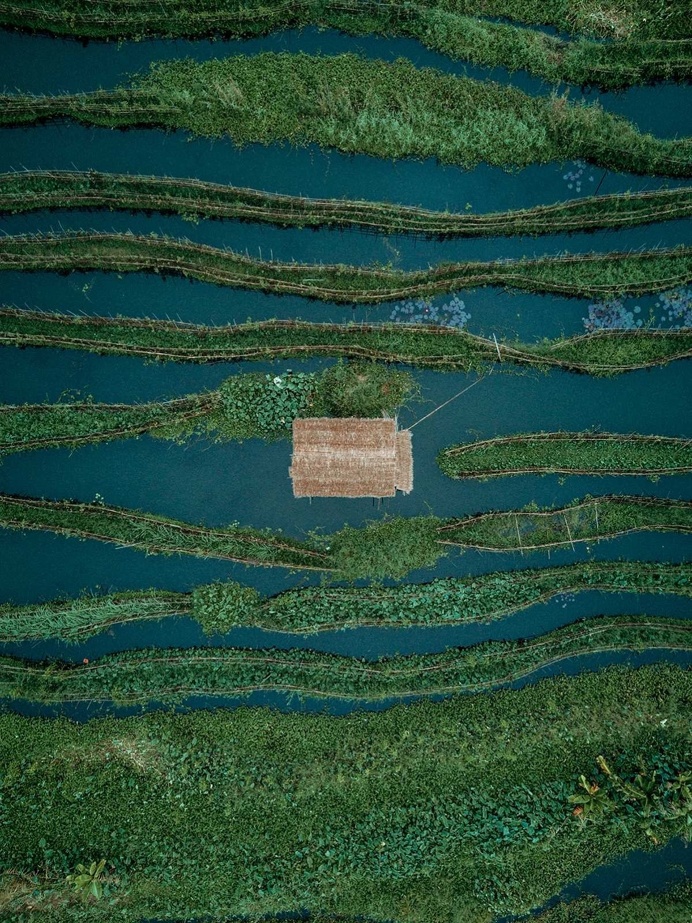 Inle Lake, Myanmar From Above by Dimitar Karanikolov