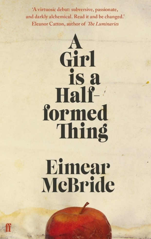A Girl is a Half-formed Thing #& #faber #book #cover #2014 #donna #payne